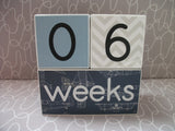 Baby Age Blocks