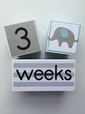 Baby Age Blocks - Monthly Baby Blocks