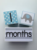 Baby Age Blocks - Monthly Baby Blocks