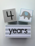 Baby Age Blocks - Monthly Baby Blocks