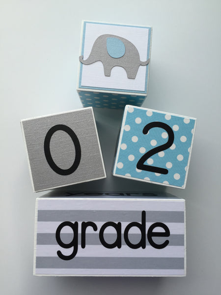 Baby Age Blocks - Monthly Baby Blocks