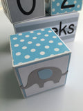Baby Age Blocks - Monthly Baby Blocks