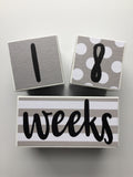 Baby Age Blocks - Gray White